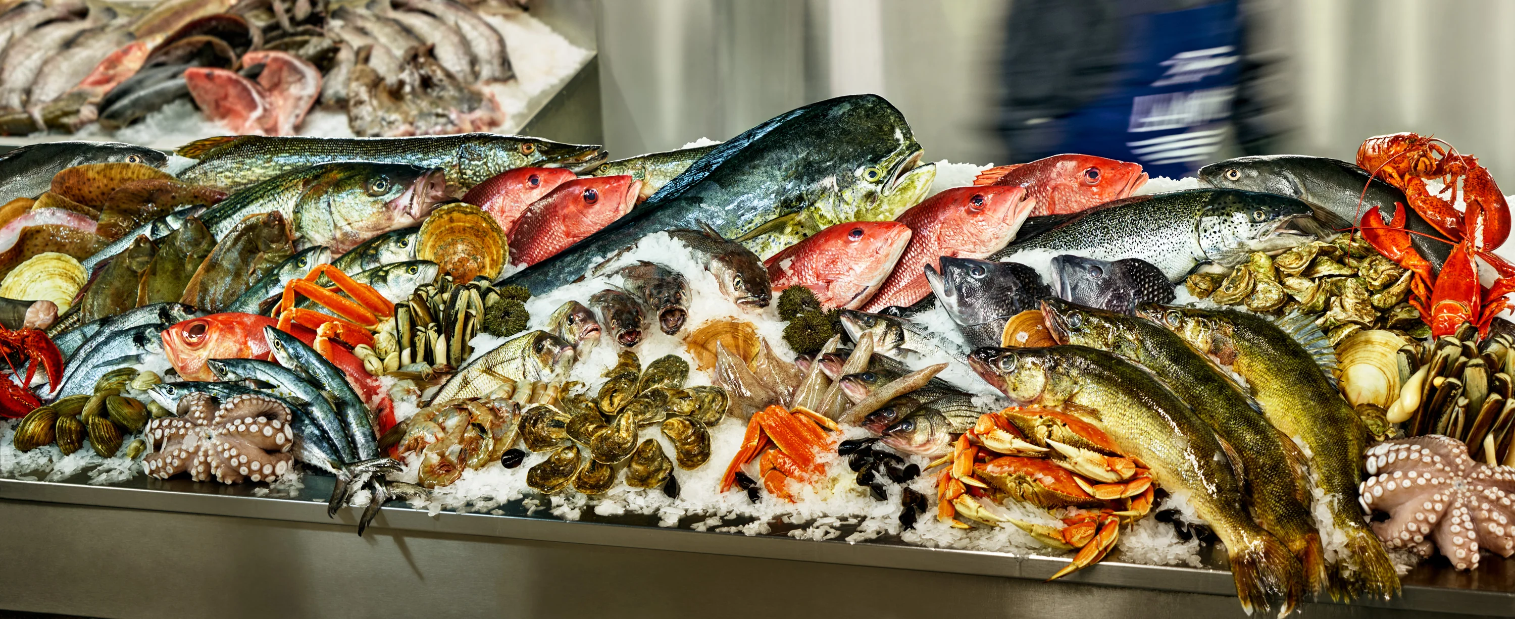 L'excellence marine à votre table
